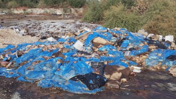 Незаконно: Изхвърлиха животински отпадъци