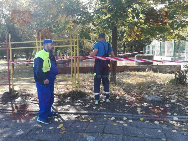 Отцепиха двора на ОУ „Г.Бенковски”, дезинфекционен екип унищожава гнездото на оси (СНИМКИ)