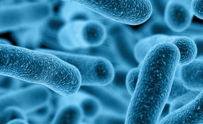 Учени алармират: Трябва ни "Ноев ковчег" за микробите