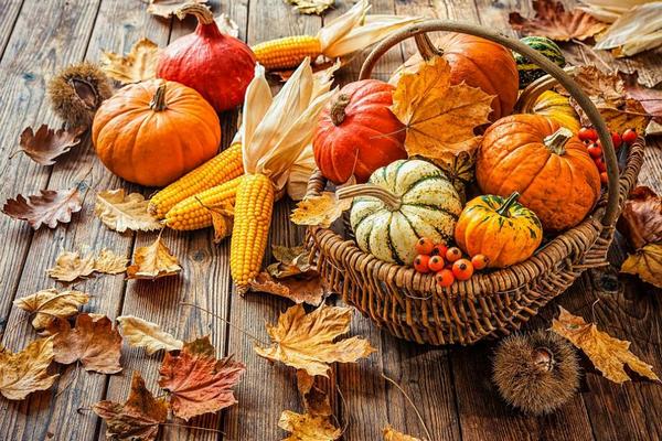 Топ 6 храни за есента, за да не се разболявате