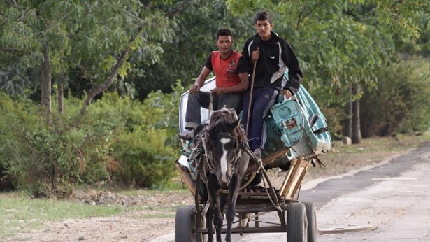 Бързи и яростни! Ромско семейство се обърна с каруцата си в Дебелт, спасяват ги с линейка