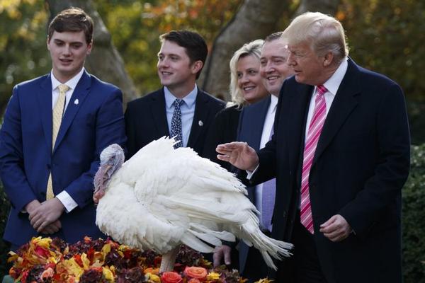 За Деня на благодарността: Тръмп помилва две пуйки