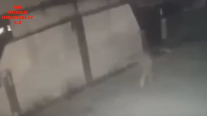 Мистерия: Снимаха как човек изчезва като призрак на улицата (ВИДЕО)