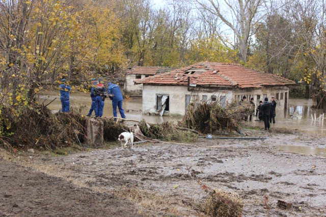 Тази история ще ви разплаче! Кучето на загиналия при потопа в Одрин го чакаше и търсеше в бурята (ВИДЕО)