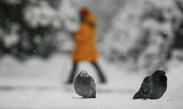 В неделя - 2°C, но от понеделник градусите скачат