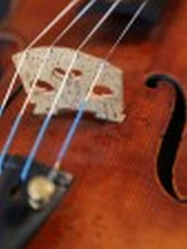 Властите в Испания издирват собственик на цигулка Страдивариус за 3 млн. евро