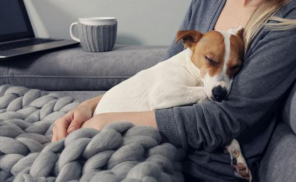 Пет изненадващи неща, които кучетата могат да подушат (ВИДЕО)
