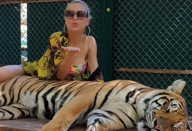 Кошмар! Родна красавица бе нападната от тигър в Тайланд, едва я спасили от лапите на хищника
