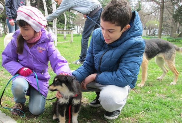 Бургазлии отвориха сърцата си, осиновиха 170 бездомни кучета през изтеклата година