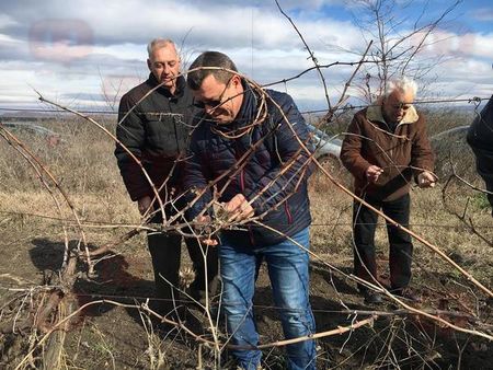 С червено вино и народни танци Камено отпразнува Трифон Зарезан