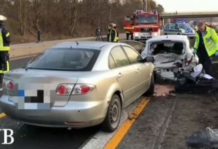 Вижте видео от бруталната касапница с колата на Шабан Шаулич