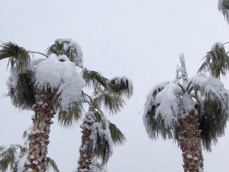 Зимна буря донесе необичайно много сняг в Лас Вегас и в Лос Анджелис