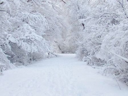 Евакуираха 20 души заради снежни преспи на пътя