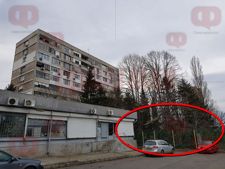Вижте първата частна градинка в Бургас или какво наследство остави Порточанов за бл. 52 в жк „Лазур“