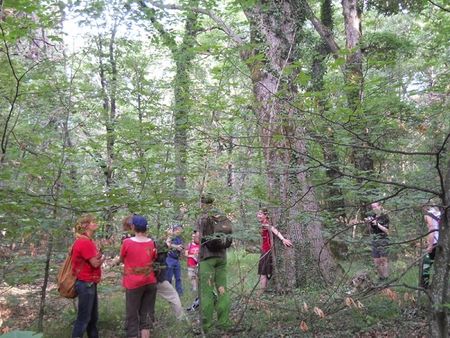 Над 200 студенти и преподаватели от Университет "Проф. д-р Асен Златаров" ще открият седмицата на гората в парк „Странджа“