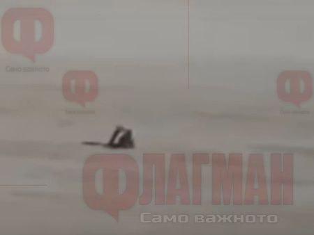 Мистерия в пустинята Чихуахуа, снимаха извънземно същество