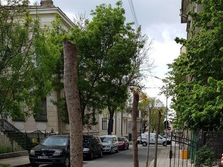 Бургазлия отряза короните на четири дървета на ул."Рилска", пречили му на изгледа
