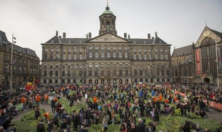 Холандия скочи срещу туристите, тъпчещи лалетата им