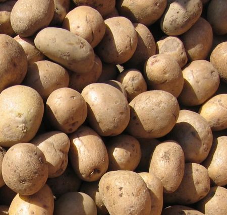 Картофите поскъпнаха със 100% за година