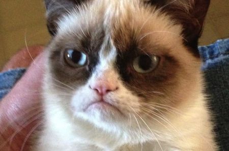 Почина едно от най-известните котета в света - Grumpy Cat