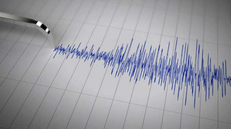 Земетресение тресна част от България