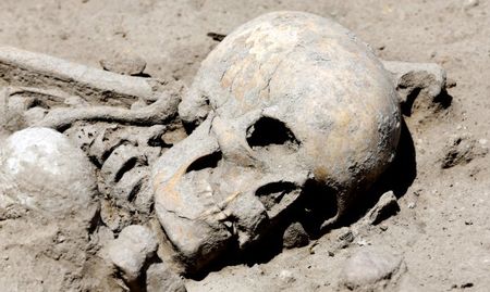 Откриха скелет на 7600 години в София