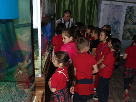 Малчугани от Несебър и Обзор се запознаха с експозиция от черноморски и океански риби