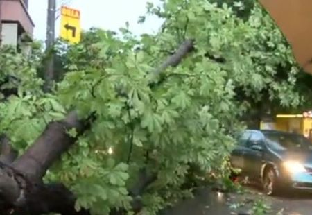 Буря в Стара Загора, паднали дървета затвориха улици