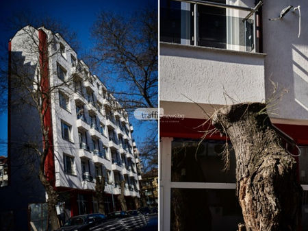 Невиждан досега в България жилищен блок изникна в Пловдив