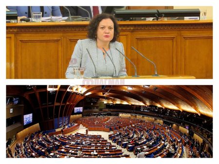 Бургаска депутатка влиза в Парламентарната асамблея на Съвета на Европа