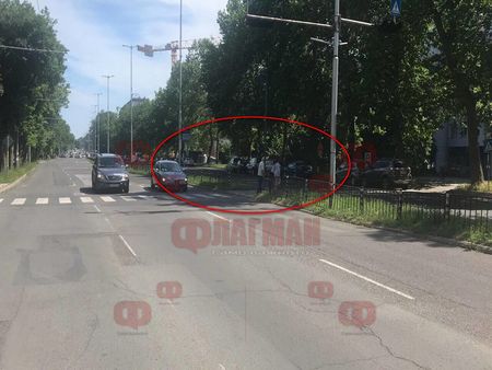 Извънредно! Двуметрова дебела змия стресира шофьорите и минувачите по централен бургаски булевард