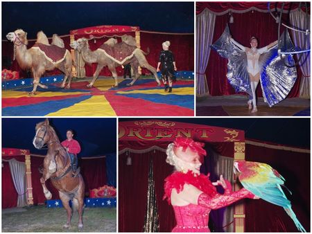 Цирк „Ориент“ гостува в Морската градина на Бургас