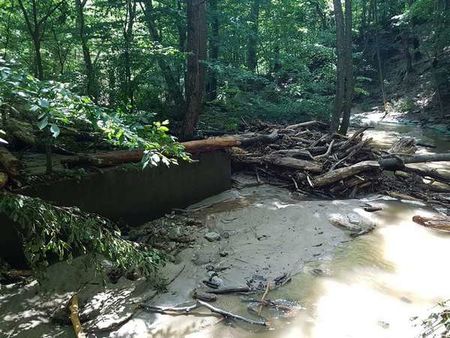 Община Стрелча обяви бедствено положение, водата е замърсена от пороите