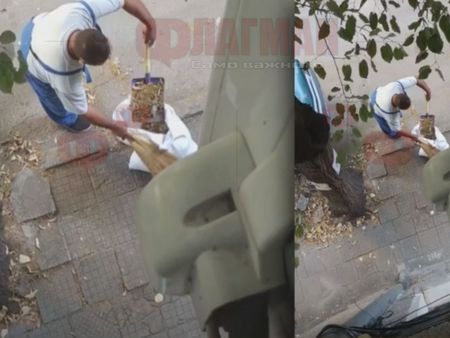 Тарикат от Пловдив събира липов цвят от улицата с метла и лопатка в ръка