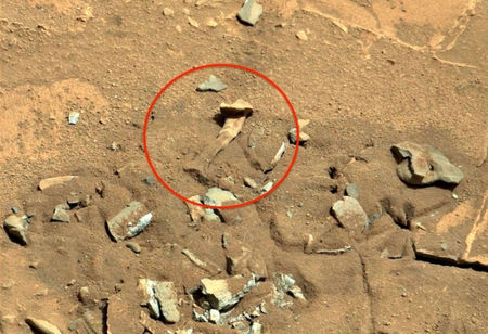 Сензация на Марс! Откриха кост на животно или дори на марсианец