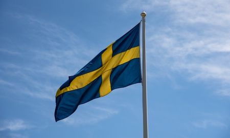 Мъж получи 6 акта от Швеция без дори да е напускал страната
