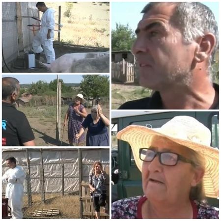 В созополското село Зидарово готови да се бият за прасетата си