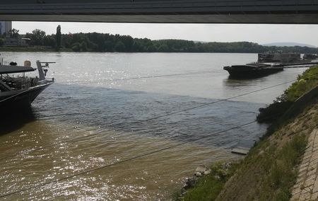 Жена изчезна в Дунав, след като се опита да открие мобилния си телефон в реката