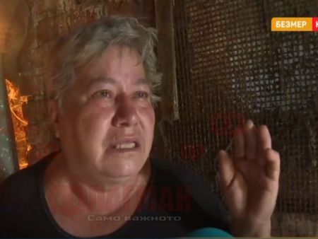 Баба Стоянка от Безмер: Искам да ме няма на тоя свят, за да не гледам как ще убият прасе-майка и децата й