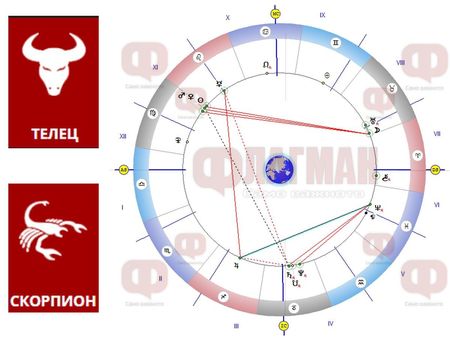 Съдбата поставя Телеца на изпитание, а Скорпионът кипи от енергия и лесно може да реализира целите си