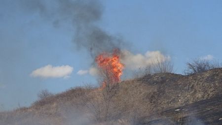 Откриха тялото на възрастен мъж в обгорели площи в Разградско