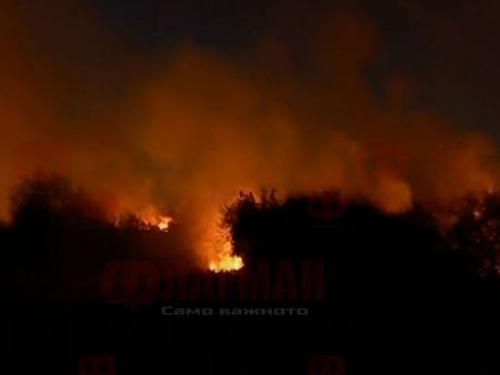 500 декара гори край Нова Загора изгоряха