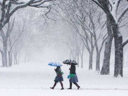 Във Великобритания очакват най-студената зима от 30 години насам