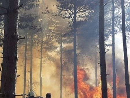 Носят вода с пръскачки на гръб, за да гасят пожара в Рила