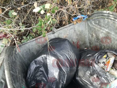 Добрият пример! Група тийнейджъри цяла седмица чистят в района на Бургас, редят рими и събират боклуци