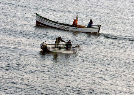 Страшен сулган по морето, рибарите не помнят такова чудо