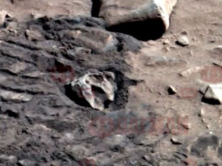 Мистерия: Череп на рептил открит на Марс