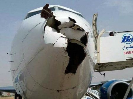 На косъм от трагедията! Щъркел се заби в самолет, излитащ от летище Бургас