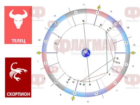 Приятни изненади за Скорпионите, Телецът да работи здраво!