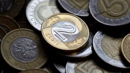 Еврото не е единствената причина за валутните проблеми на Източна Европа
